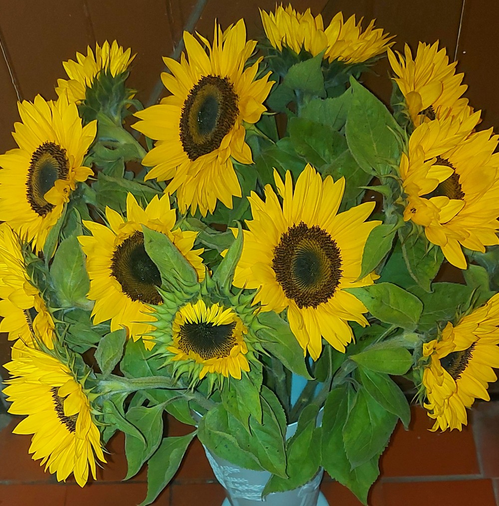 Simply Sunflowers
